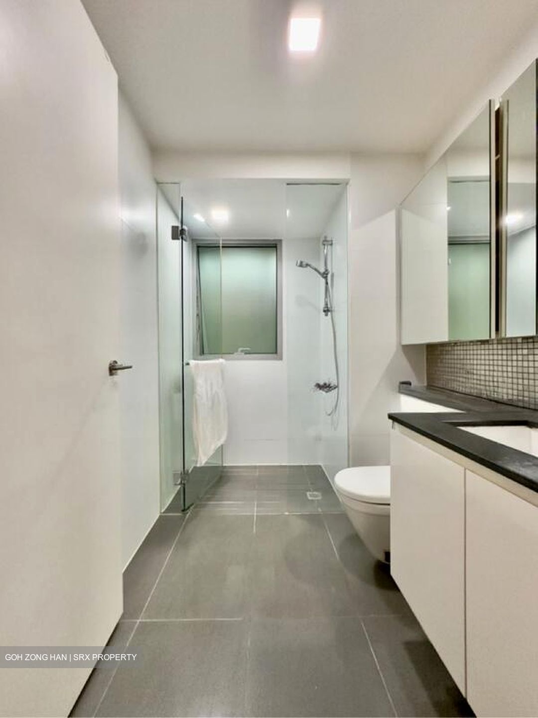 The Minton (D19), Condominium #498644771